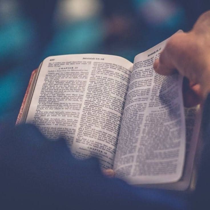 MNG IMAGEN BIBLIA 3 MNG IMAGEN BIBLIA 3